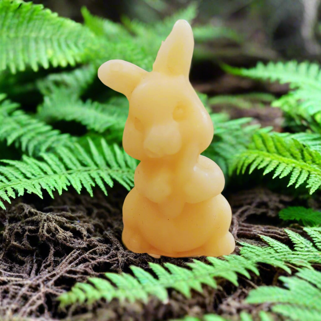 BEESWAX CANDLES: FOREST CRITTERS