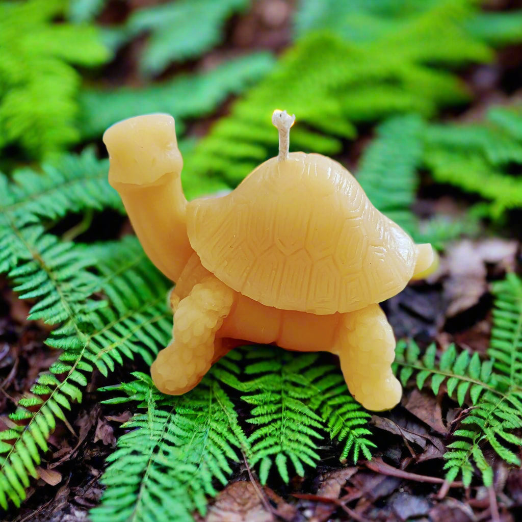 BEESWAX CANDLES: FOREST CRITTERS