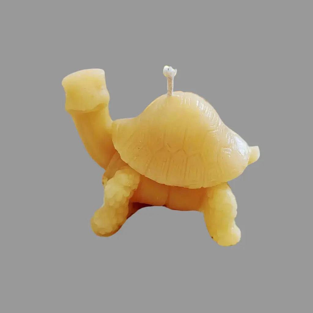 BEESWAX CANDLES : CRITTERS turtle candle in golden yellow beeswax, with a textured shell and raised head and legs.
