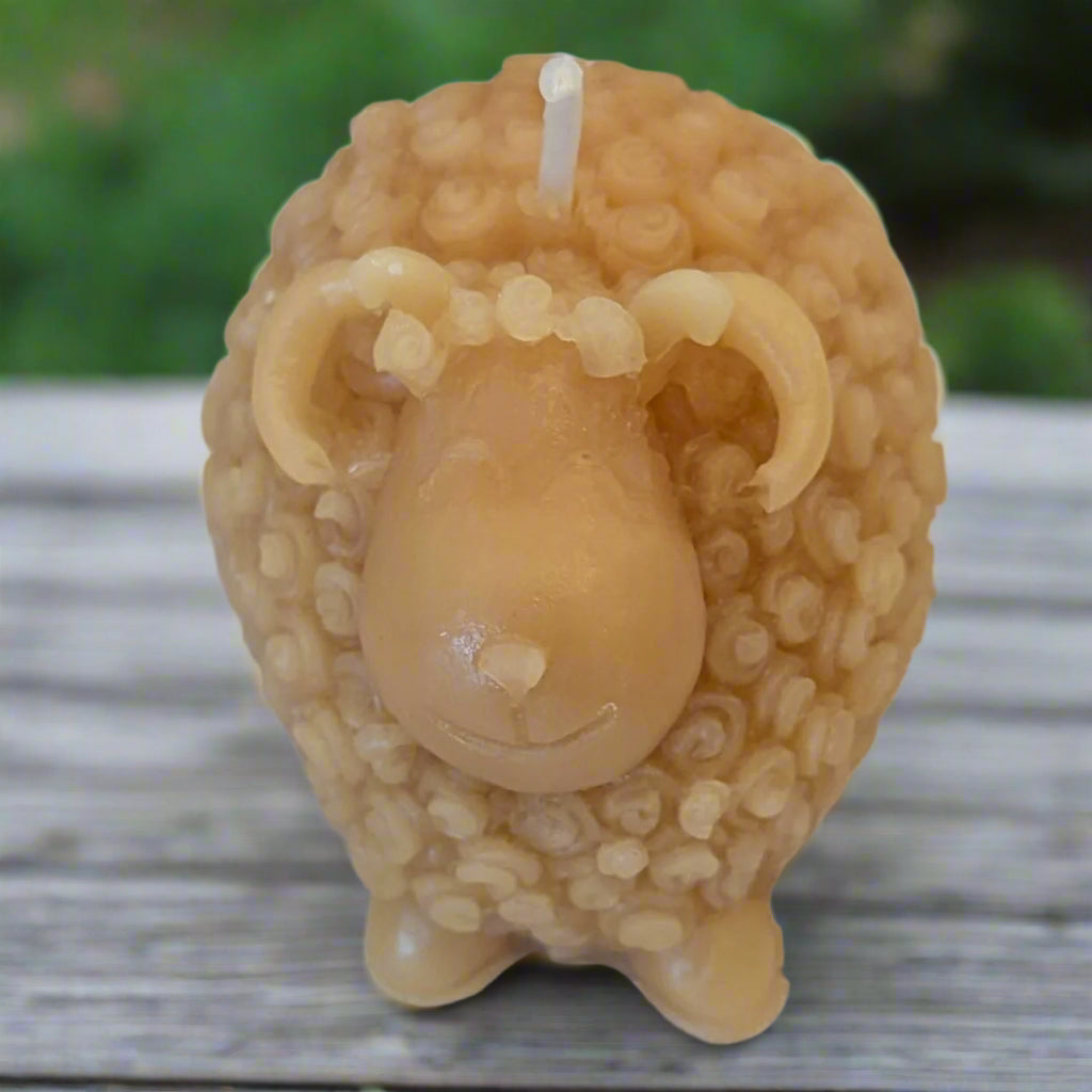 BEESWAX CANDLES: SHEEP