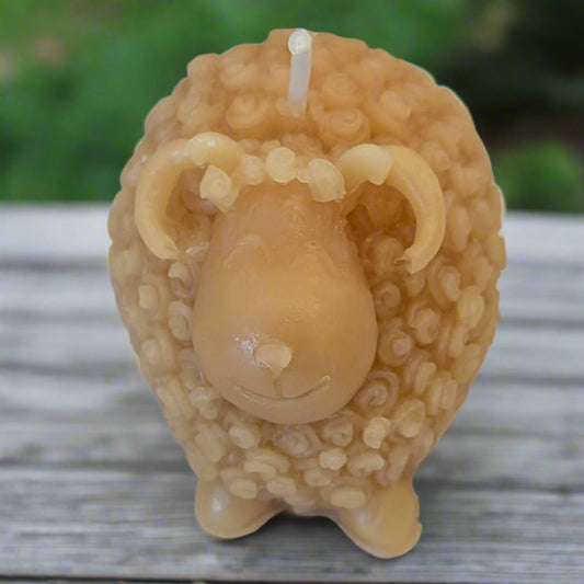 BEESWAX CANDLES: SHEEP