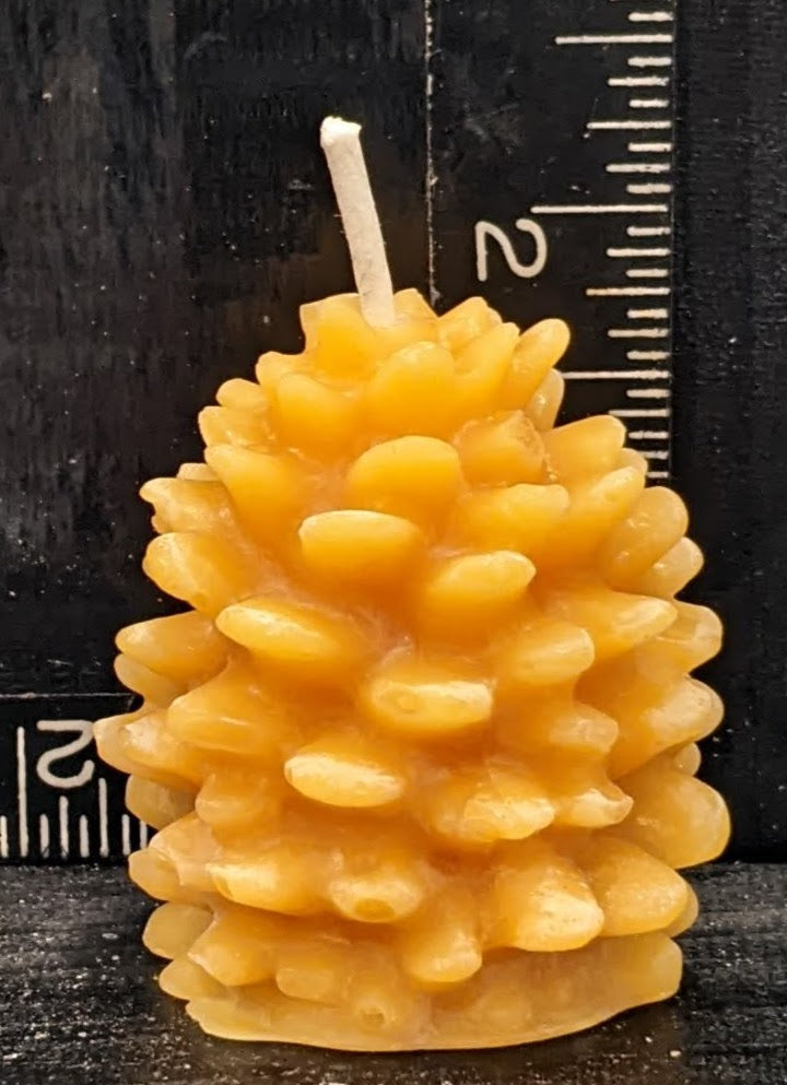 BEESWAX CANDLE: PINE CONE