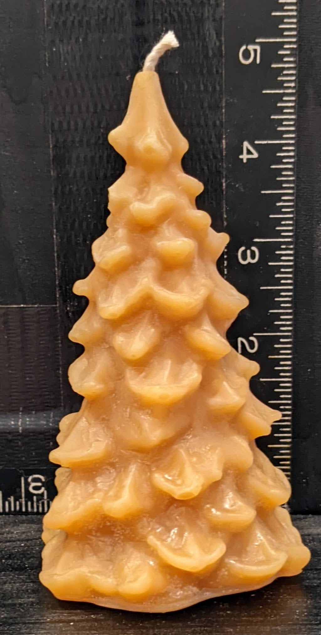 BEESWAX CANDLE: FIR TREE