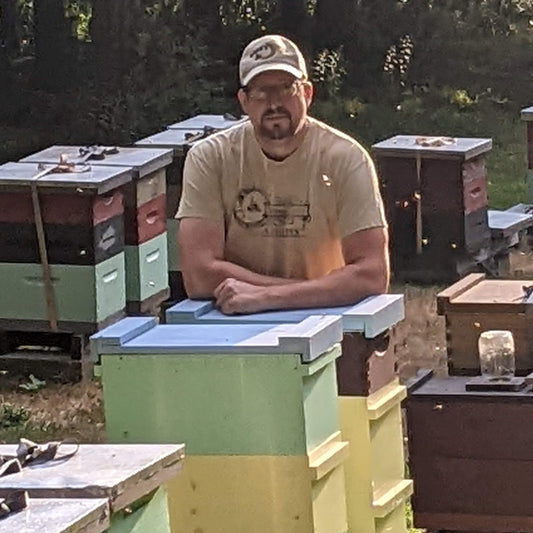 A Day with the bees