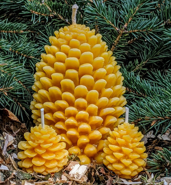 BEESWAX CANDLE: PINE CONE