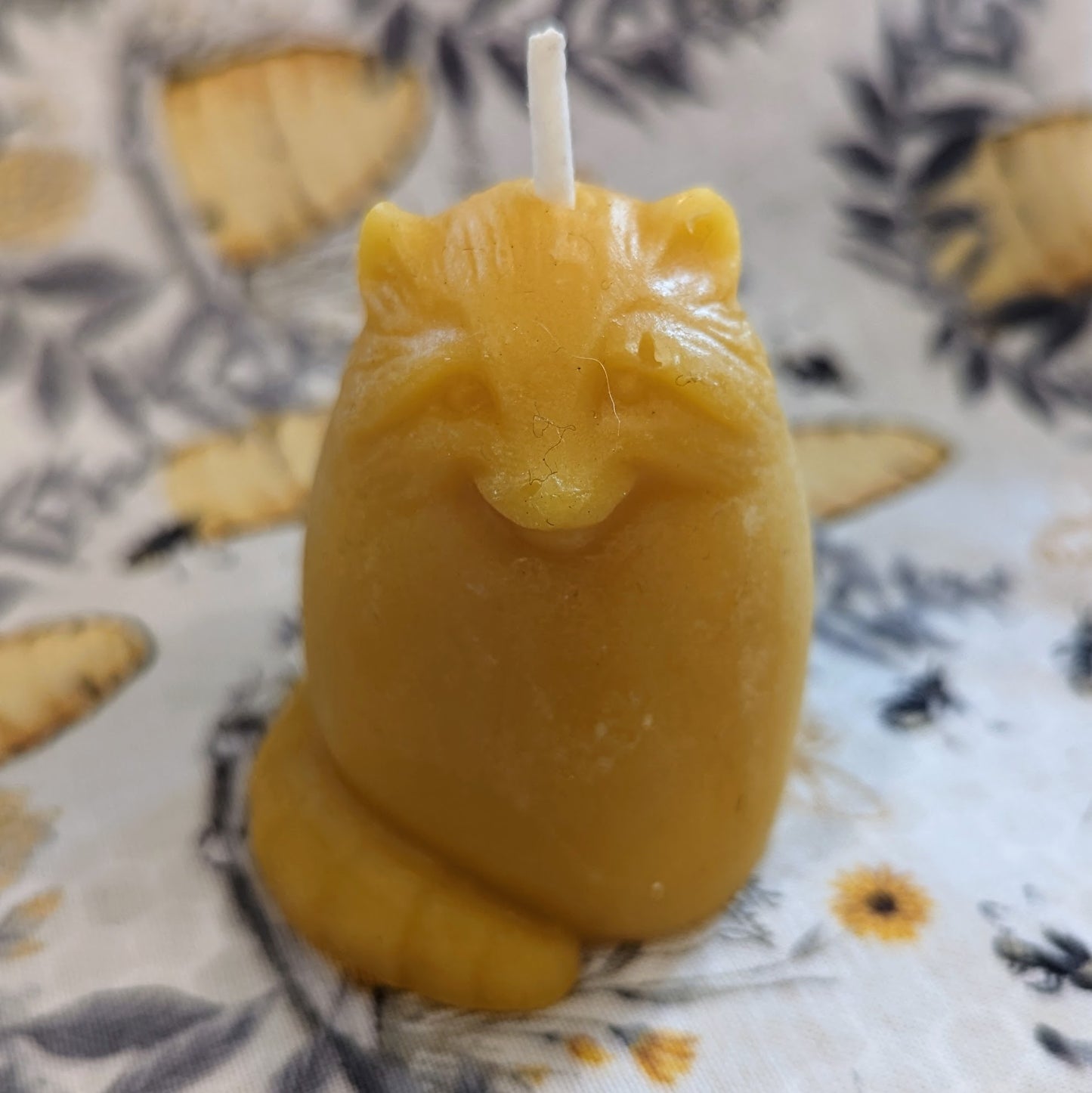 BEESWAX CANDLE: RACOON