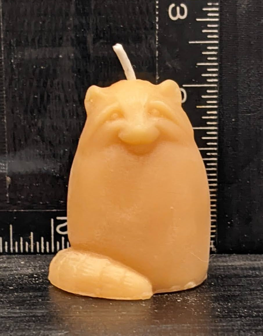 BEESWAX CANDLE: RACOON